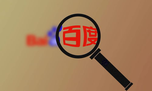 黑帽技术蜘蛛池快速收录